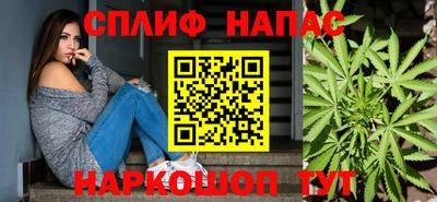 прущие грибы Донской