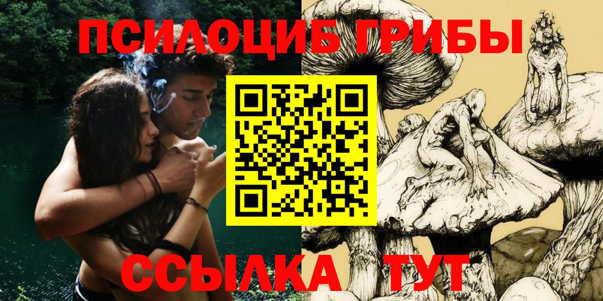 Мирный  Псилоцибиновые грибы Cubensis  Вход с VPN 